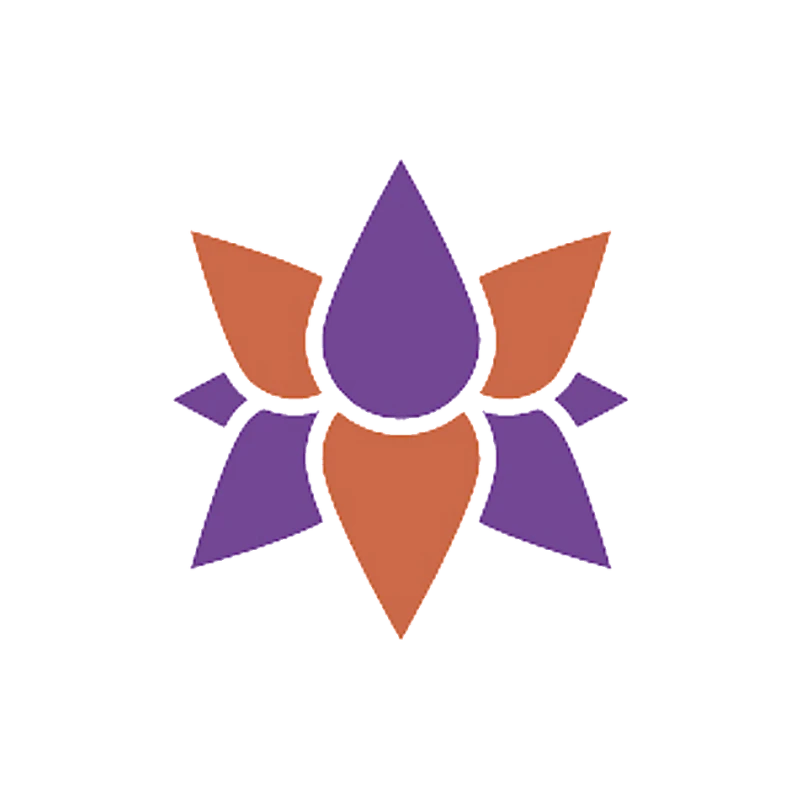 Plano Orquídea