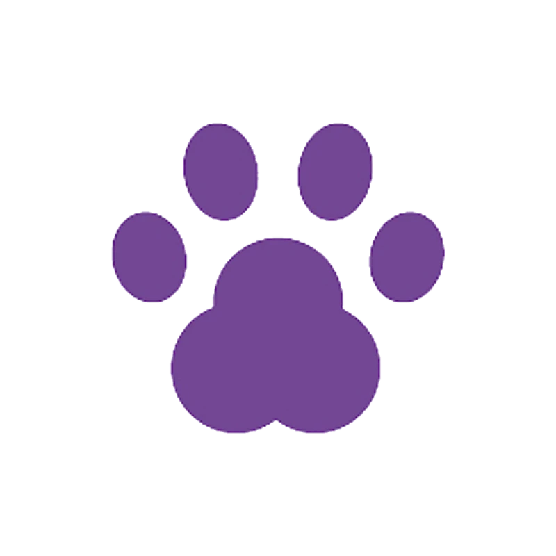 Plano Pet