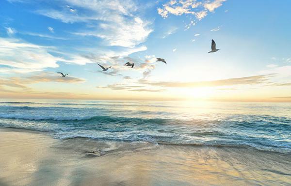 Plano Funerário com Cremação em Campinas